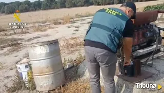 Desarticulado un grupo criminal dedicado al hurto en explotaciones agrícolas de Valladolid y Segovia