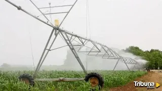 Ferduero ve en "peligro" la modernización del regadío del Canal del Pisuerga 