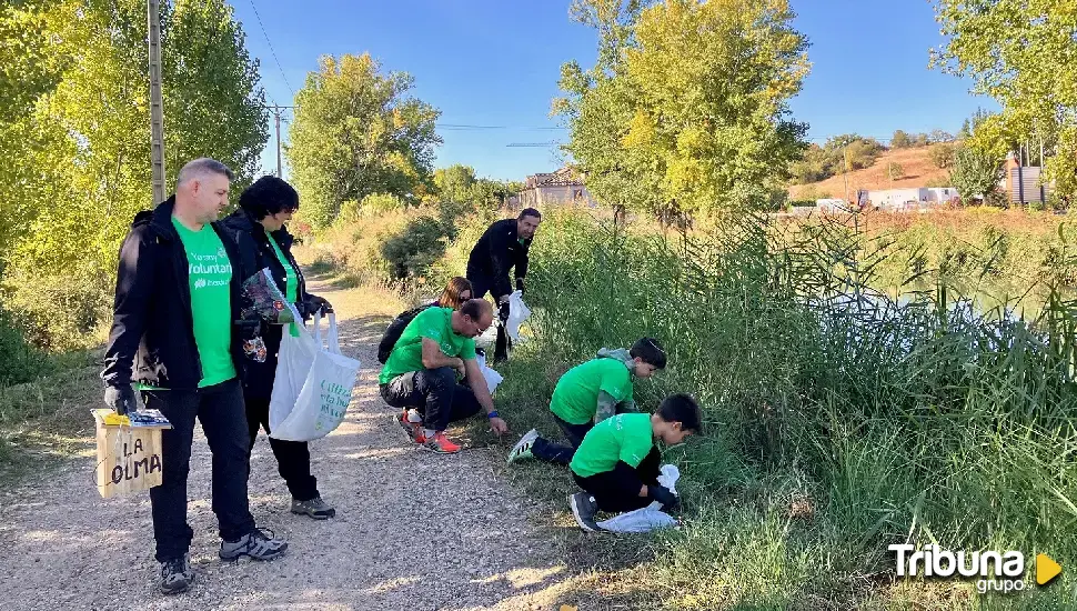 Más de un centenar de voluntarios de Iberdrola trabajan "por un mundo mejor" desde en Castilla y León