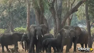 La familia de Blanca Ojanguren viajará a Tailandia este sábado