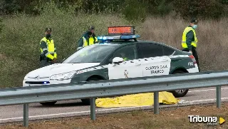 Un camión atropella a un hombre que caminaba por la autovía en un tramo entre Tordesillas y Geria