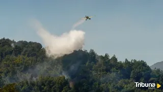 Medio Ambiente instalará cámaras de vigilancia en montes y superficies arboladas de Valladolid