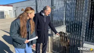 El Ayuntamiento invierte 50.000 euros en el Centro Municipal de Protección Animal