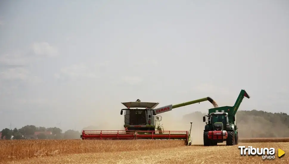 Conoce las diferencias entre la agricultura intensiva y extensiva