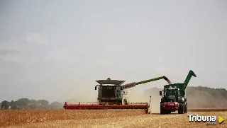 Conoce las diferencias entre la agricultura intensiva y extensiva