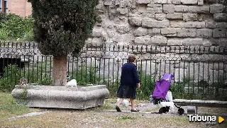 Más de un centenar de personas que viven solas en Valladolid superan los 100 años