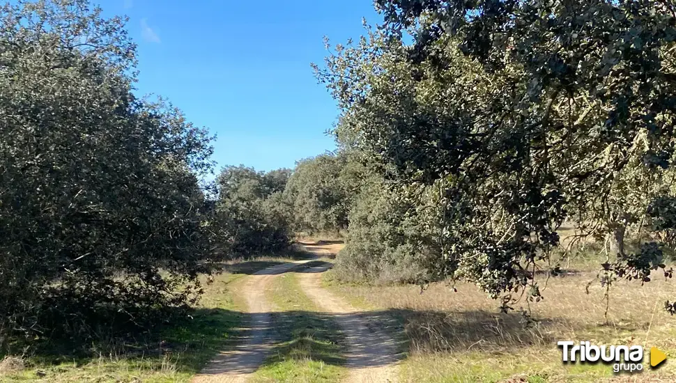 Los vecinos de Castronuño organizan una movilización para frenar la privatización del Camino de San Román