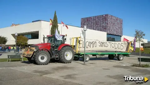 Unos 300 agricultores protestan con tractores ante las Cortes de Castilla y León