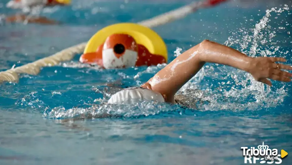 Cinco oros para Castilla y León en el Campeonato de España de Piscina