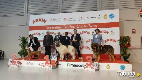 La feria Fimascota recibe 16.200 visitantes durante el fin de semana