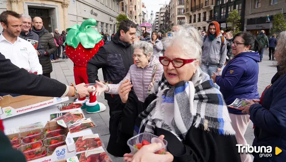 Cientos de vallisoletanos hacen cola para probar fresas de Huelva gratis