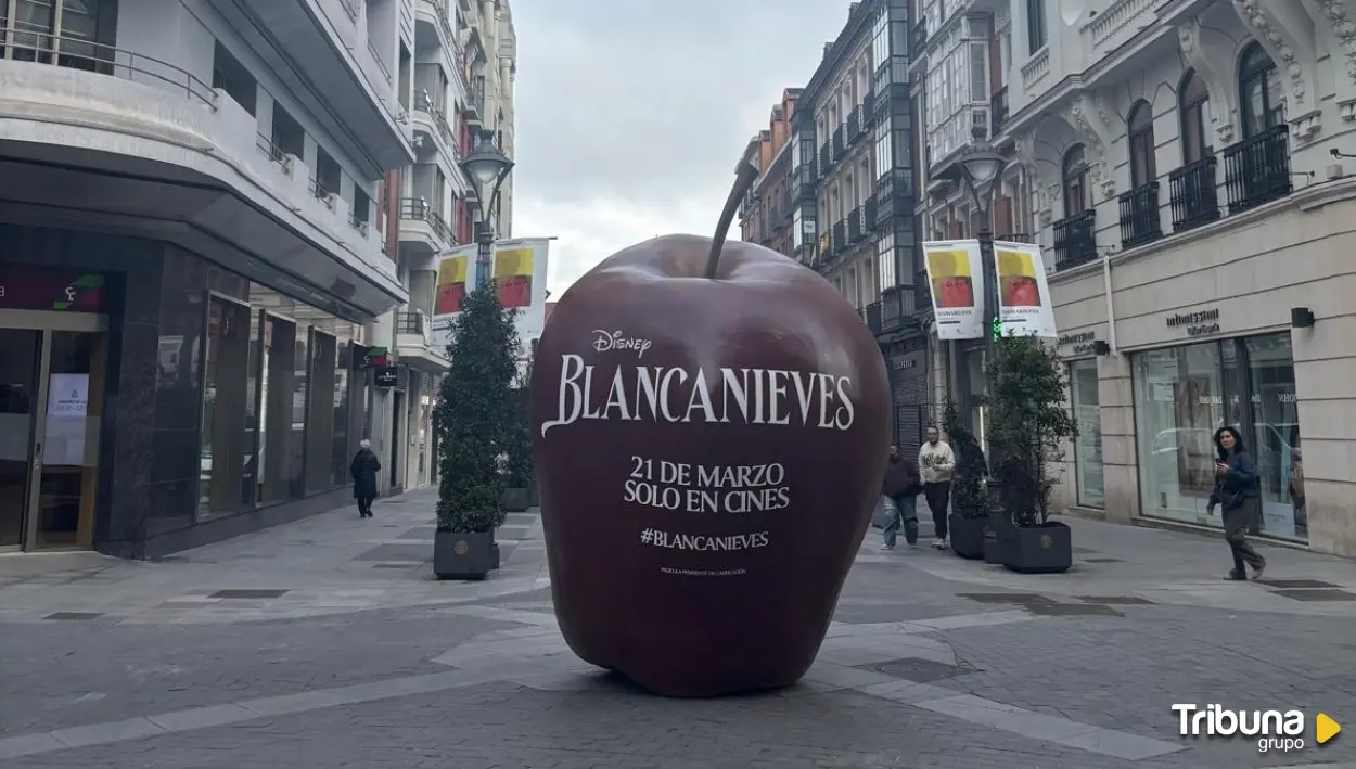 Una gran manzana sorprende en la calle Santiago